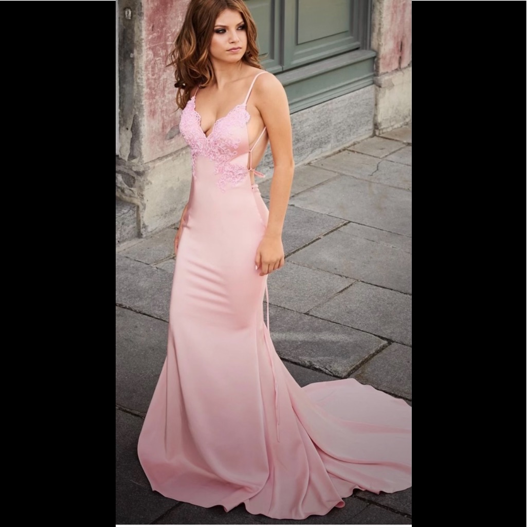 Evening Gown Party Dress Prom Dress Pink Backless Size Small Nwt Unaltered Silk